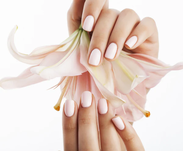 Shellac